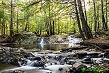 Thunder Brook Falls 2022